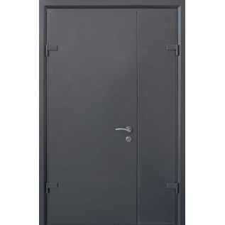 Двери Techno-door 1200 графит Techno-door «СТРАЖ» (Украина) 